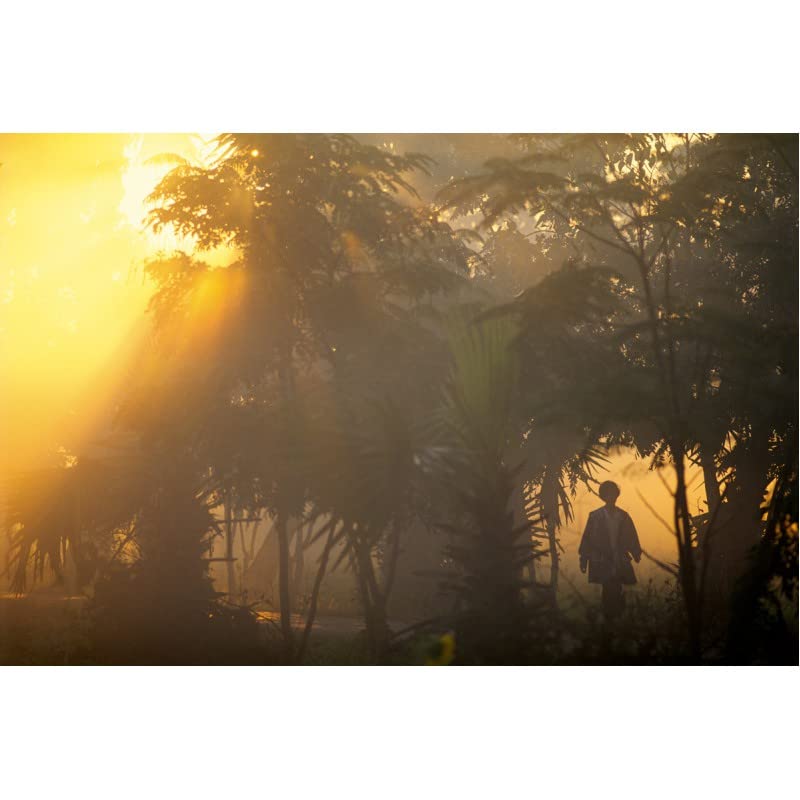 Recensione La Mente del Fotografo: Capire e Creare Foto di Successo